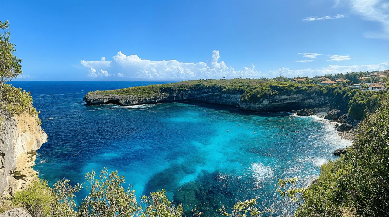 Guide des delices creoles : La gastronomie guadeloupeenne a deguster en janvier